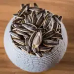Семена подсолнечника | Вкусные и питательные семечки для перекуса, здоровый выбор для активного образа жизни, оптом и в розницу 123 143 Новости
