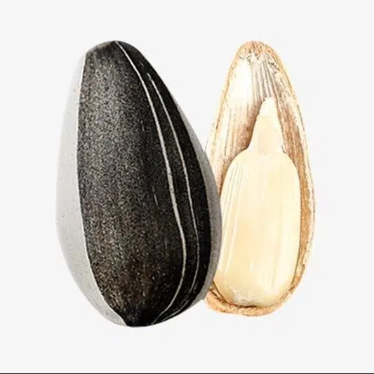 Семена подсолнечника для еды, натуральные, калибр 200-210, 50 г, сорт 361, инструкция по употреблению 123 150 Подсолнечные семечки