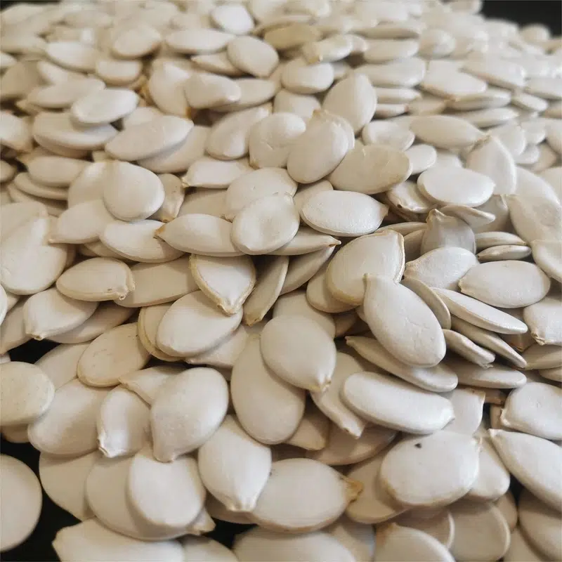 Жареные семена тыквы Snow White — вкусные, полезные, оптом для бизнеса и магазинов 123 74 Жареные семена тыквы