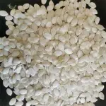 Жареные семена тыквы Snow White — вкусный и полезный перекус, оптом и в розницу 123 77 Жареные семена тыквы