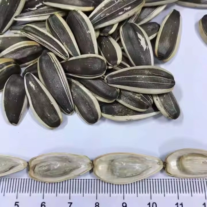 Жареные солёные семена подсолнечника 5009 — очищенные ядра, солёный вкус, высокое качество, купить оптом 22 12 Жареные семена подсолнечника