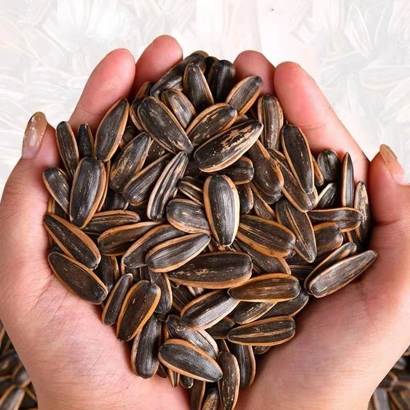 Жареные семена подсолнечника разных вкусов — импорт в Европу, оптовая продажа, купить семечки подсолнечника 33 14 Жареные семена подсолнечника