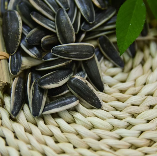 Китайский подсолнечник 361, дешевые семена 11 1 Подсолнечные семечки