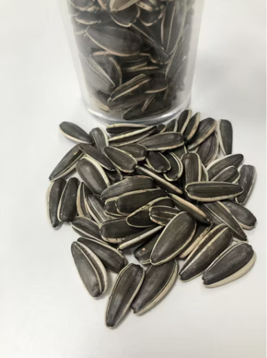 Семечки подсолнечника типа T6 из Внутренней Монголии 11 104 Подсолнечные семечки