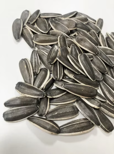 Сырые семечки подсолнечника типа T6 крупного размера из Внутренней Монголии 11 105 Подсолнечные семечки