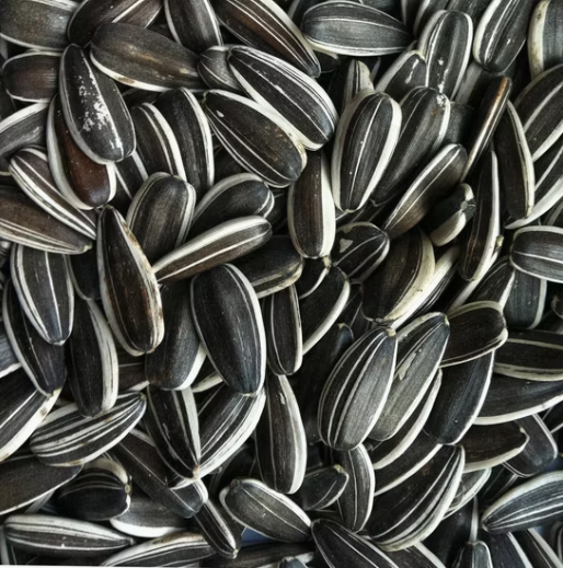 Семечки подсолнечника всех сортов из Внутренней Монголии 11 111 Подсолнечные семечки