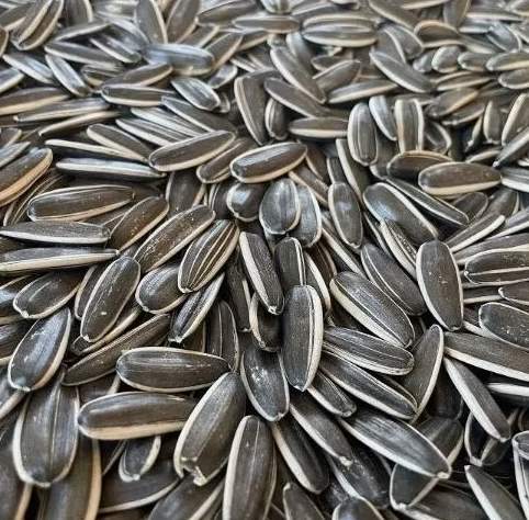 Прямые продажи с завода: семечки подсолнечника высшего качества по выгодной цене, без плесени 11 115 Подсолнечные семечки