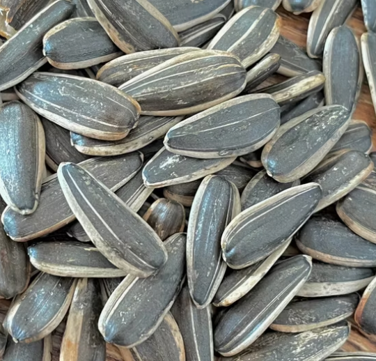 Поставка напрямую с китайского завода, семечки подсолнечника 361 урожая 2025 года с индивидуальной (настраиваемой) упаковкой 11 118 Подсолнечные семечки