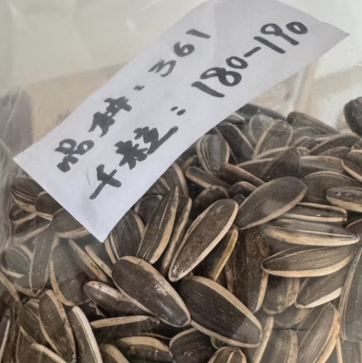 Премиальный вкус, семечки подсолнечника 361 нового урожая 2025 года 11 121 Подсолнечные семечки