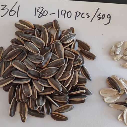 Поставка с китайского завода в 2025 году: высококачественные семечки подсолнечника 361 11 125 Подсолнечные семечки