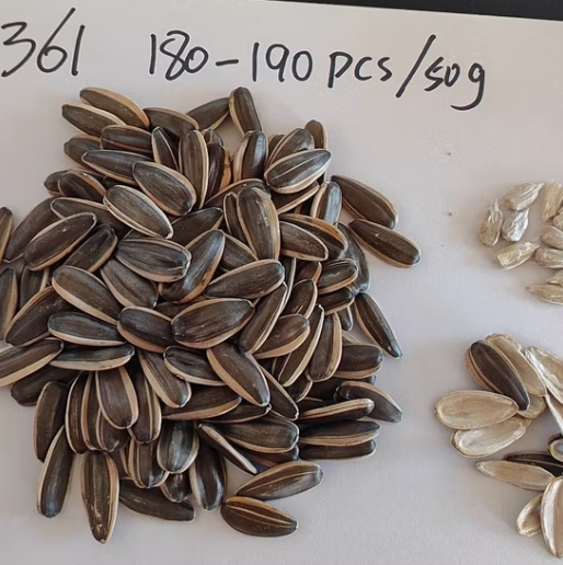 Заводские продажи 2025 года: новые семечки подсолнечника 361 с отличным вкусом 11 126 Подсолнечные семечки
