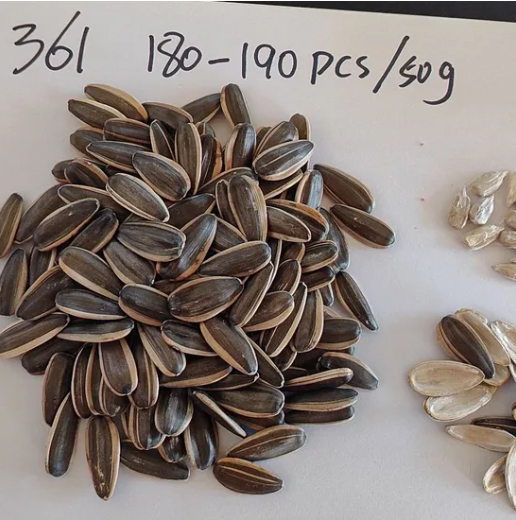 Высокое качество и выгодная цена семян подсолнечника сорта 361 11 130 Подсолнечные семечки