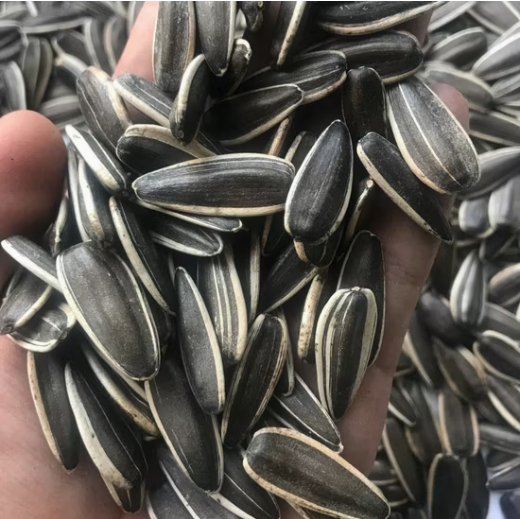 Подсолнечные семечки нового урожая 2025 года, с содержанием плесени 0,5%, типы 361, 363, T5, T6 11 132 Подсолнечные семечки