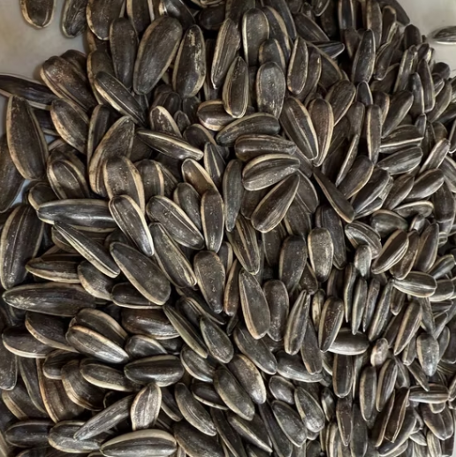 Старые запасы 2024 года, плесень 3%, всего 10 контейнеров, тип 361, размер 210–220 11 136 Подсолнечные семечки