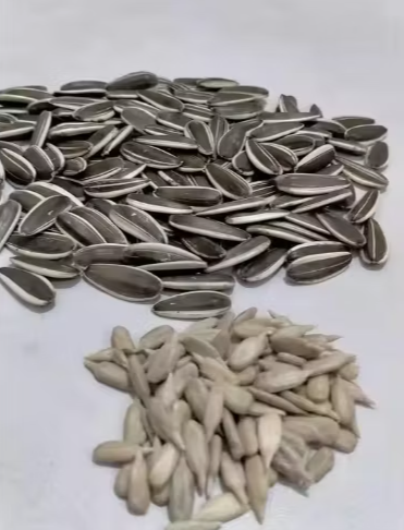 Оптовая продажа с возможность кастомизации и частной маркировки. Семена подсолнечника 361 размера, пищевая категория 11 18 Подсолнечные семечки