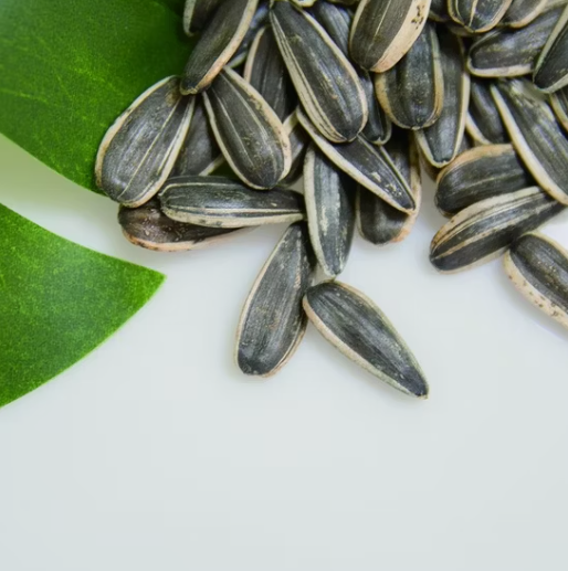 Семена подсолнечника 361 высшего сорта, урожай 2025 года 11 21 Подсолнечные семечки