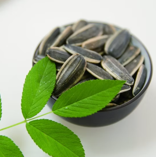 Семена подсолнечника 361 новейшего урожая из Внутренней Монголии, Китай 11 22 Подсолнечные семечки