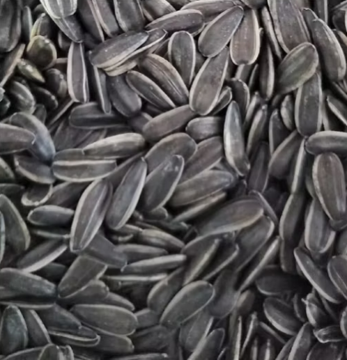 Приготовьтесь к пользе! Семена подсолнечника 361 нового урожая 2025 года, крупные (jumbo) 11 32 Подсолнечные семечки