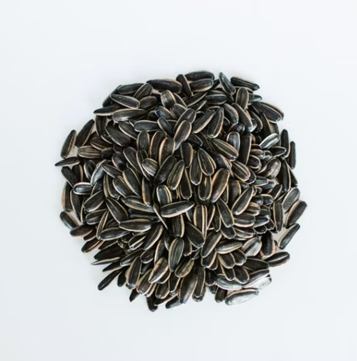 Горячая новинка! Семена подсолнечника 361 урожая 2025 года из Китая 11 33 Подсолнечные семечки