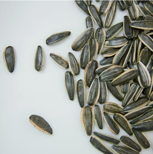 Хит продаж! Семена подсолнечника 361 пищевого качества 11 36 Подсолнечные семечки