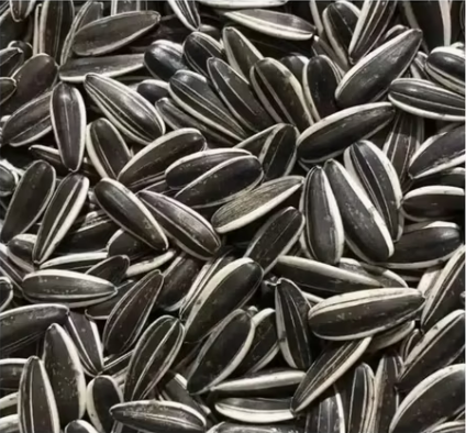 Хит продаж 2025 года! Семена подсолнечника 361 пищевого качества 11 38 Подсолнечные семечки