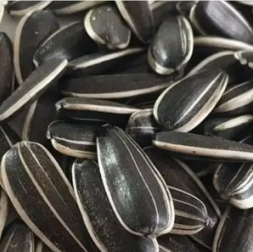 Экспортное производство высококачественных китайских семян подсолнечника 361 11 41 Подсолнечные семечки