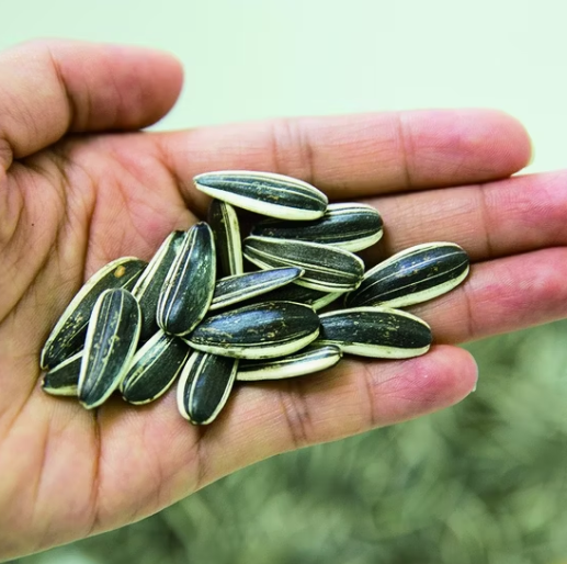 Китайские недорогие очищенные семечки подсолнечника 601 нового урожая 2025 года 11 51 Подсолнечные семечки