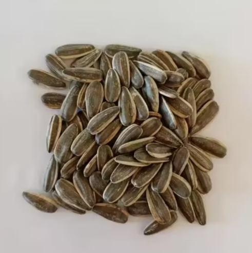 Новые высококачественные семечки подсолнечника 601 из Внутренней Монголии 11 52 Подсолнечные семечки