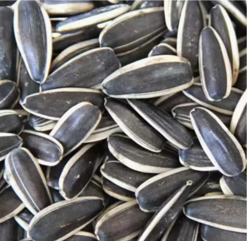 Китайские семечки подсолнечника типа 601 11 53 Подсолнечные семечки