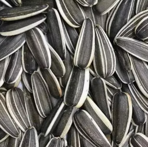 Синьцзянский новый урожай, заводские оптовые поставки, высокое качество, выгодная цена, крупный размер 601 11 58 Подсолнечные семечки