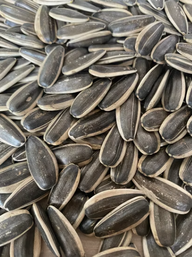 Оптовые крупные высококачественные чёрные семечки подсолнечника 363 из китайского Синьцзяна 11 63 Подсолнечные семечки