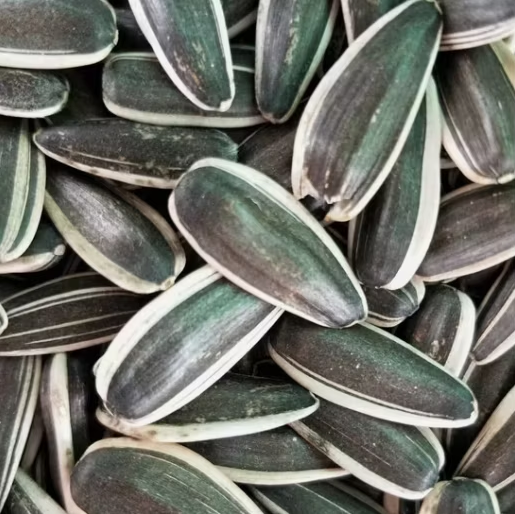 Заводские оптовые поставки крупных чёрных пищевых семечек подсолнечника T5 11 77 Подсолнечные семечки