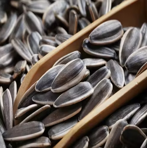 Китайские ядра семечек подсолнечника T5 нового урожая, высшее качество, оптовые поставки. Справочная цена FOB: узнать актуальную цену 11 79 Подсолнечные семечки