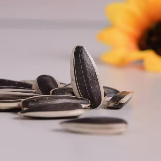 Хит продаж — крупные халяльные семечки подсолнечника T5 из Внутренней Монголии (Китай), оптом, для производства снеков 11 80 Подсолнечные семечки