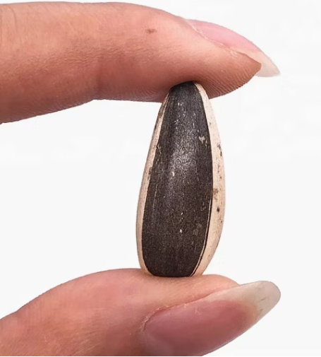 Семечки подсолнуха 363 из Внутренней Монголии 11 84 Подсолнечные семечки