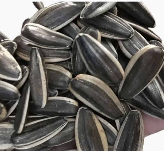 Семечки подсолнуха 361 из Внутренней Монголии 11 85 Подсолнечные семечки