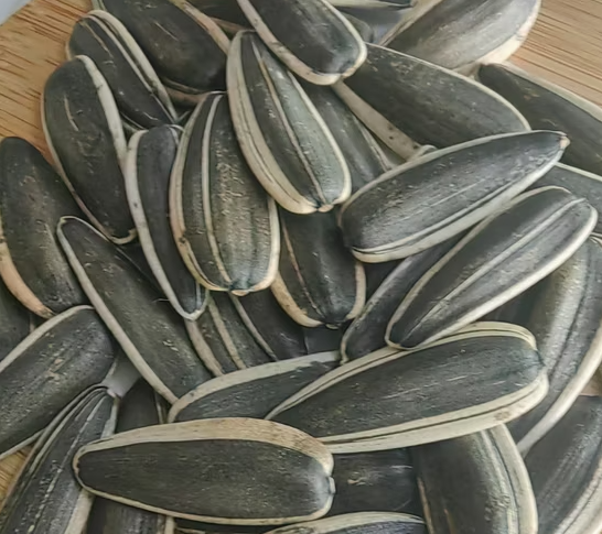 Семечки подсолнуха T5 из Внутренней Монголии 11 86 Подсолнечные семечки