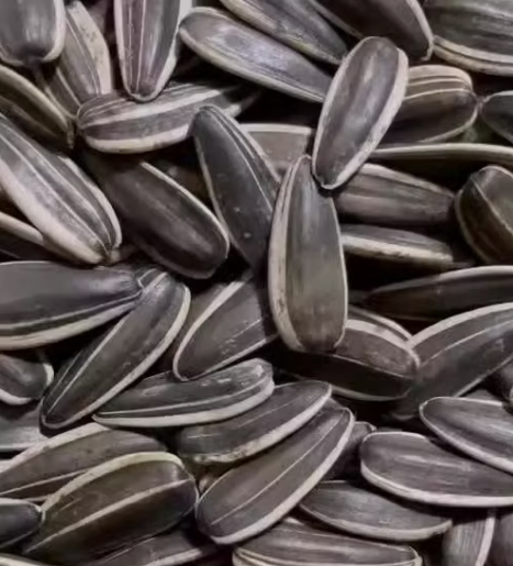 Фабрика семечек подсолнуха T6 361 разных размеров из Китая 11 89 Подсолнечные семечки