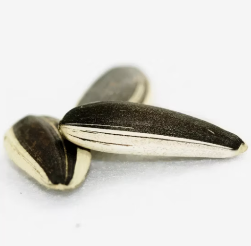 На продажу семечки подсолнечника 361 китайского происхождения по конкурентной цене 11 9 Новости