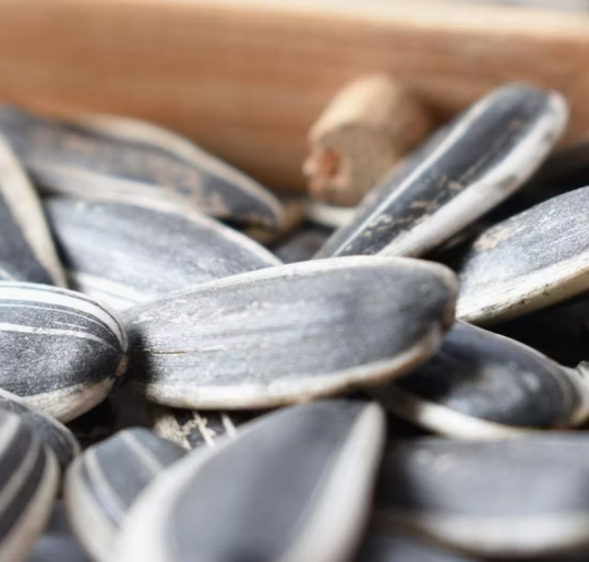 Семечки подсолнечника и ядра для снеков из Внутренней Монголии 11 91 Подсолнечные семечки