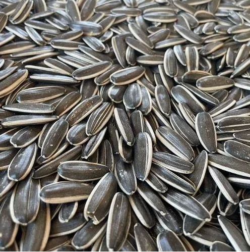 Семечки подсолнечника 363 разных размеров 11 96 Подсолнечные семечки