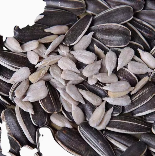 Сырые семечки подсолнечника различных типов из Внутренней Монголии 11 98 Подсолнечные семечки