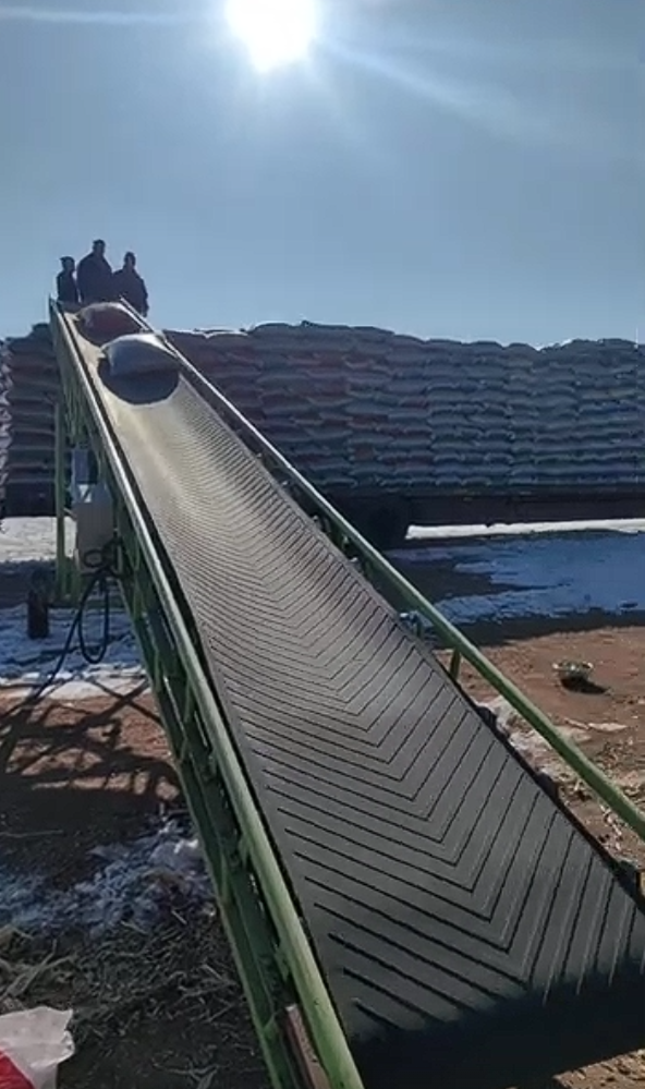 Купить семена подсолнечника 363: китайские семена подсолнечника для экспорта и оптовых закупок 123 12 видео