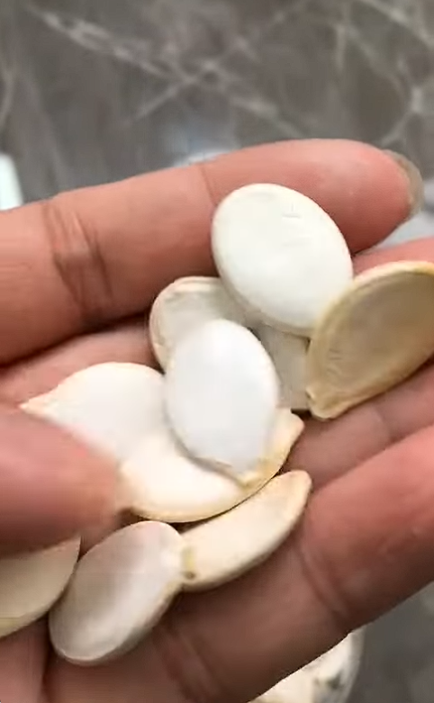 Что такое высококачественные очищенные ядра тыквенных семечек премиум-класса 2025 из Китая? 123 3 видео