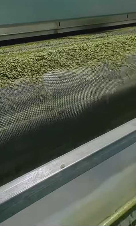 Что такое натуральные очищенные ядра тыквенных семечек 2025 года из Китая по низкой цене? 123 4 видео