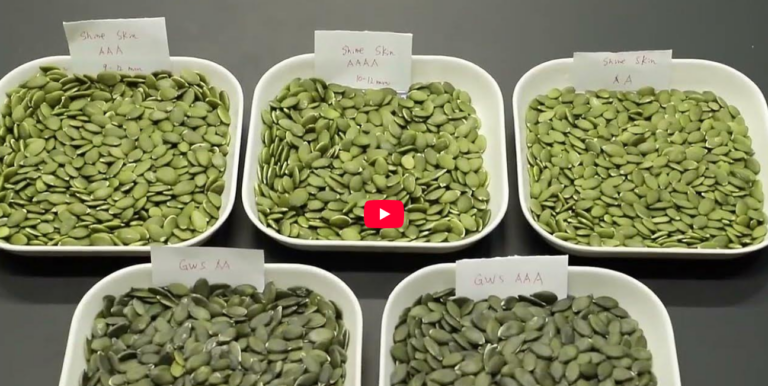 What are Chinese shiny-skinned pumpkin seed kernels, AA variety?