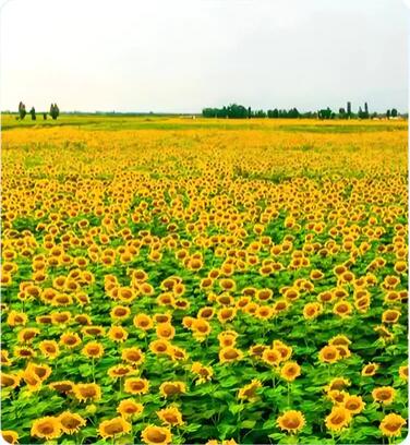 Наша продукция 123 видео