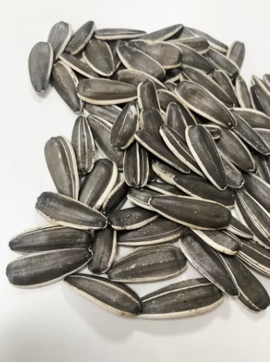 Семечки подсолнечника T6 размером 170–180 из Внутренней Монголии 22 101 Подсолнечные семечки