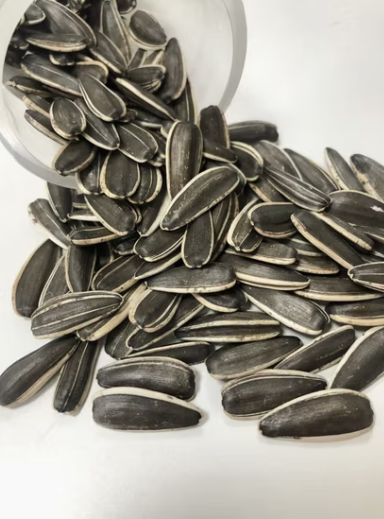 Высококачественные семечки подсолнечника T6 из Внутренней Монголии 22 104 Подсолнечные семечки