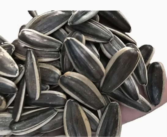 Семечки подсолнечника типа T6 всех различных размеров 22 107 Подсолнечные семечки